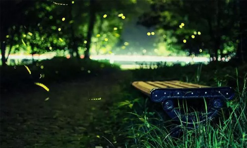 最后的同信府，最后的市中心庭院洋房