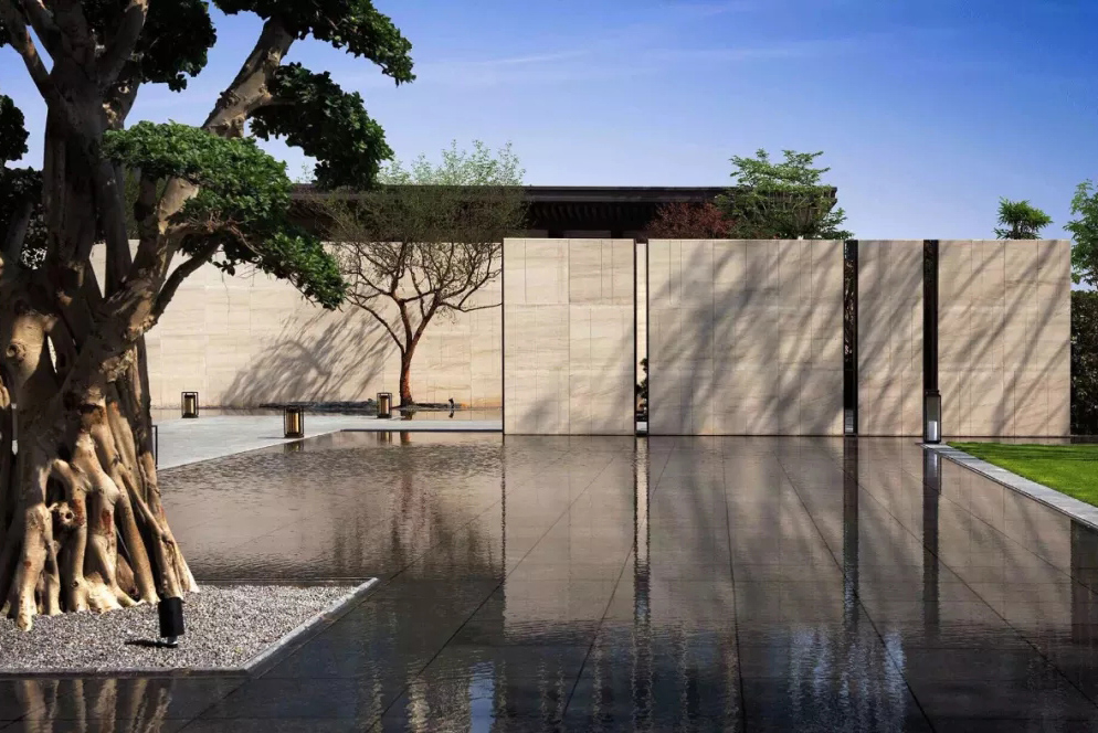 心之所向，桃花源！