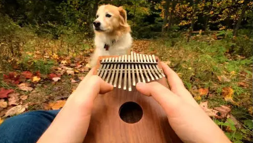 河畔有約丨看見指尖藝術(shù)，聆聽幻彩音符！